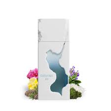 French Avenue Ravine Ice EDP 100ml