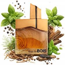 Fragrance World Bois De Bois EDP 100ml